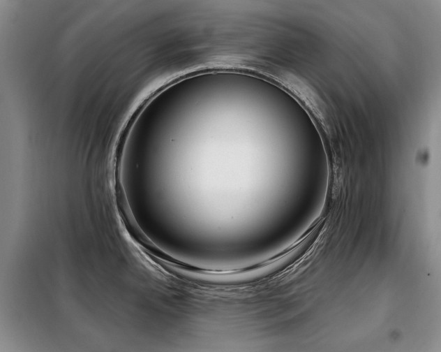 X0000099311342200805021305