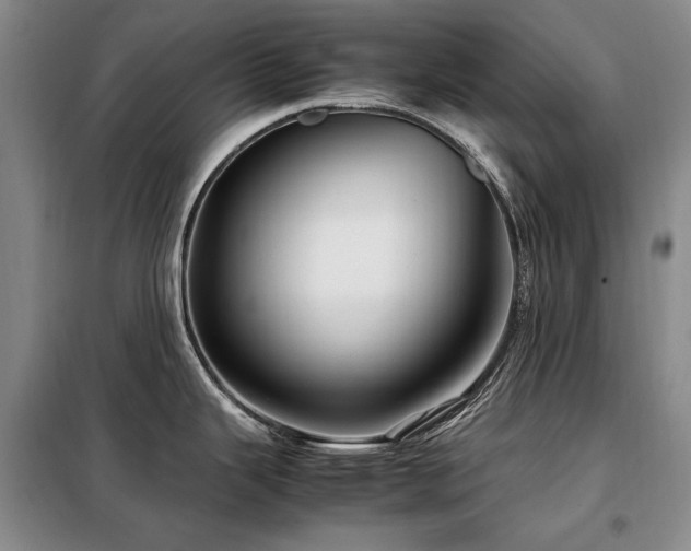 X0000099311343200805021305