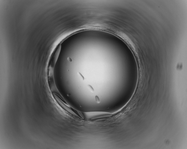X0000099311344200805021305