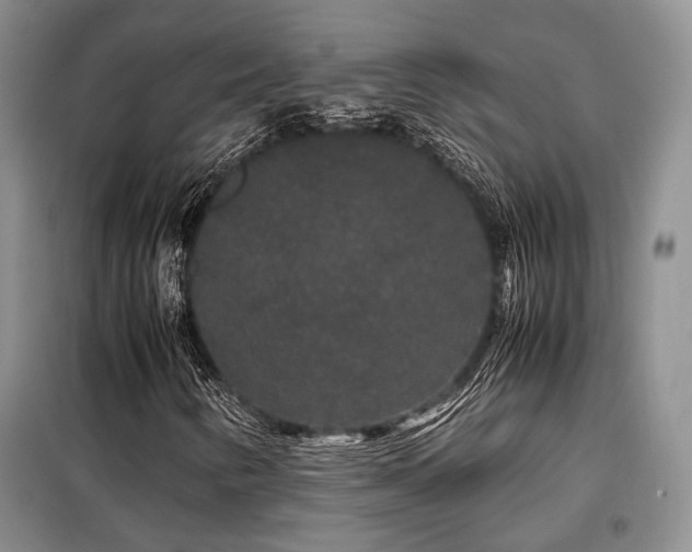 X0000099311346200805021304
