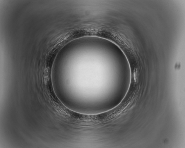 X0000099311347200805021304