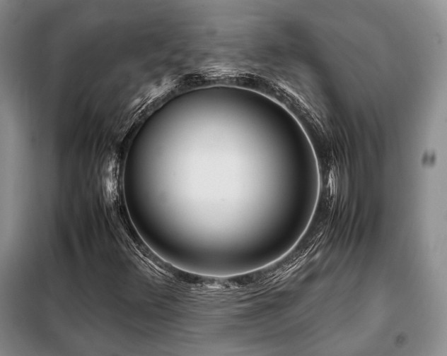 X0000099311348200805021304