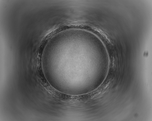 X0000099311350200805021304