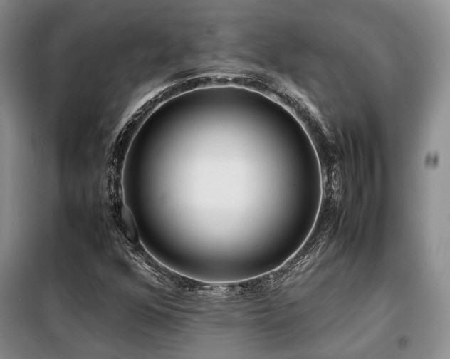 X0000099311352200805021304