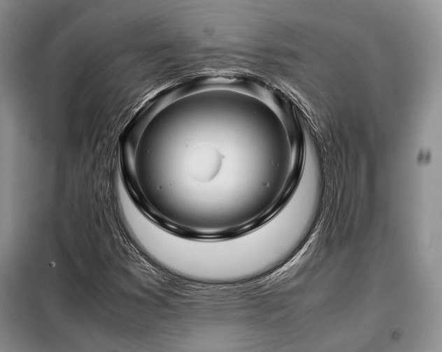 X0000099311353200805021304