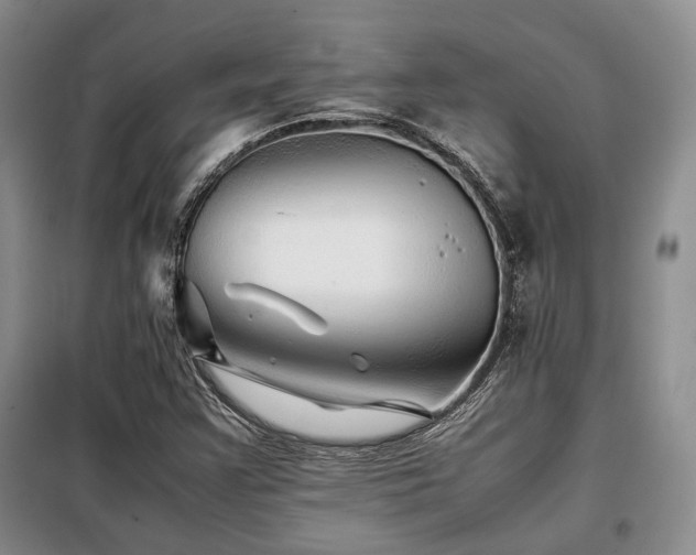 X0000099311355200805021304