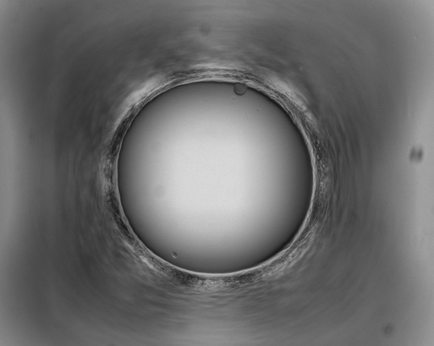 X0000099311357200805021304