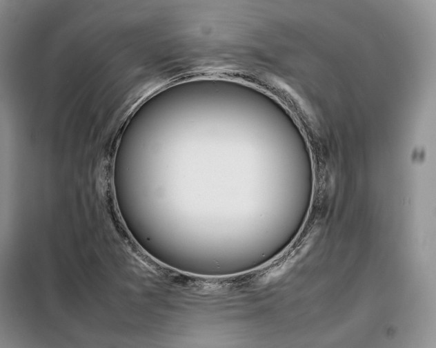 X0000099311361200805021304