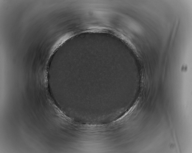 X0000099311362200805021304