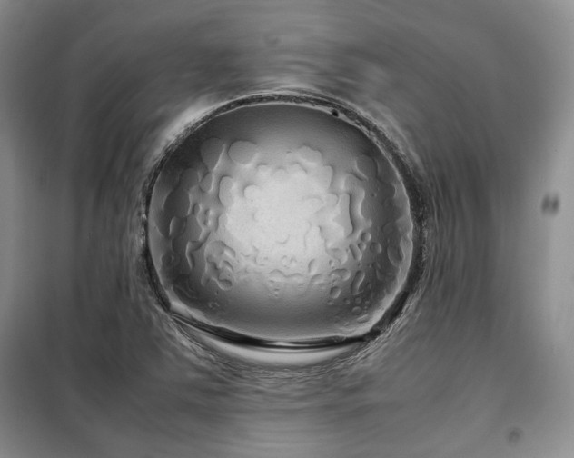 X0000099311363200805021304