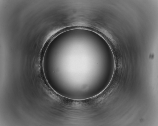 X0000099311364200805021304