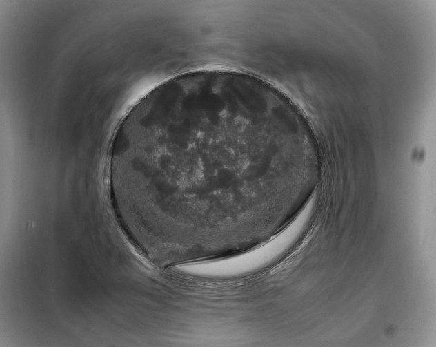 X0000099311367200805021304
