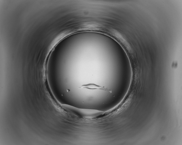 X0000099311370200805021304