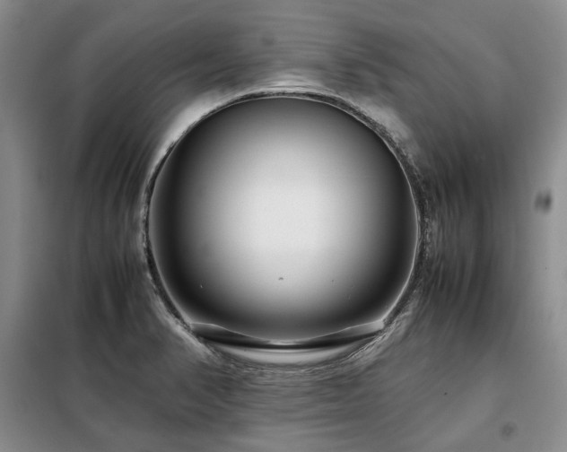 X0000099311374200805021304