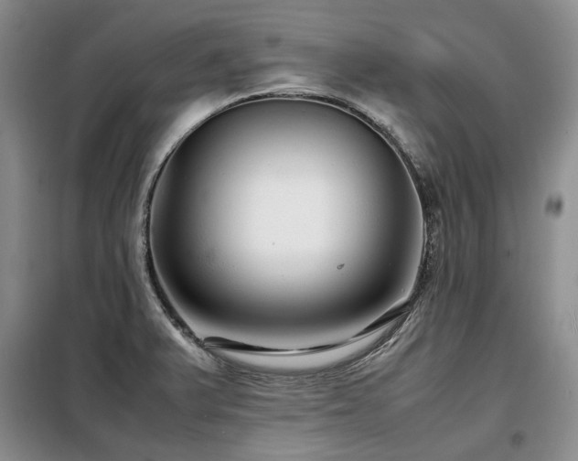 X0000099311375200805021304