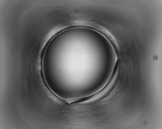 X0000099311376200805021304