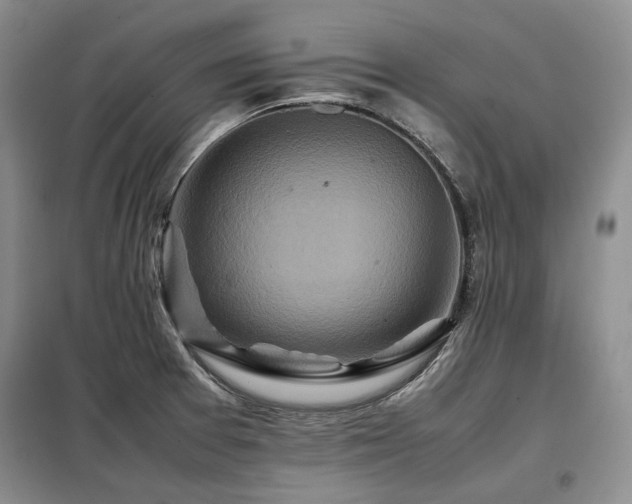 X0000099311377200805021304