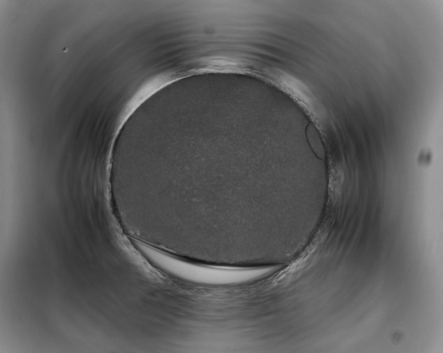 X0000099311378200805021304