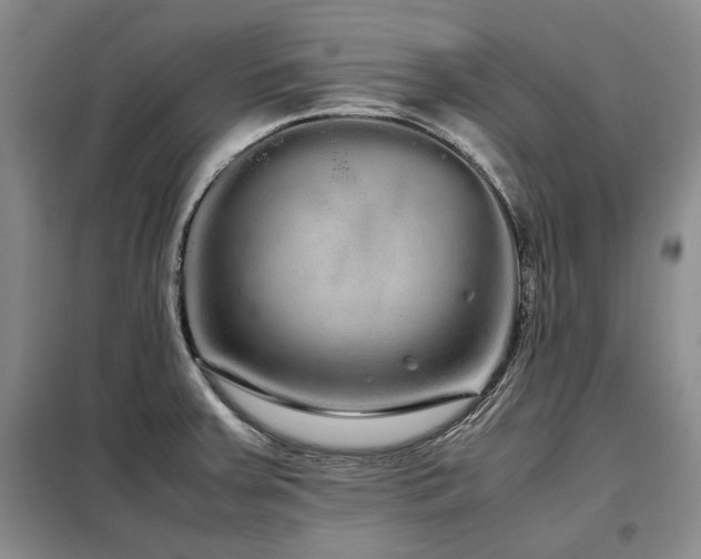 X0000099311379200805021304