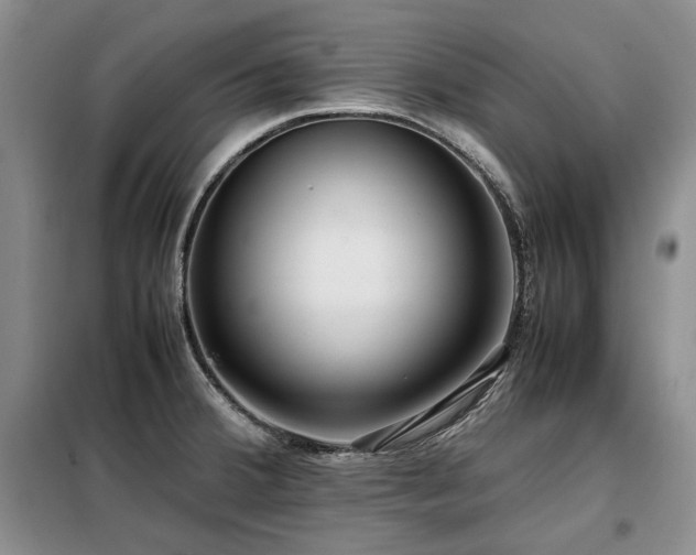 X0000099311380200805021304