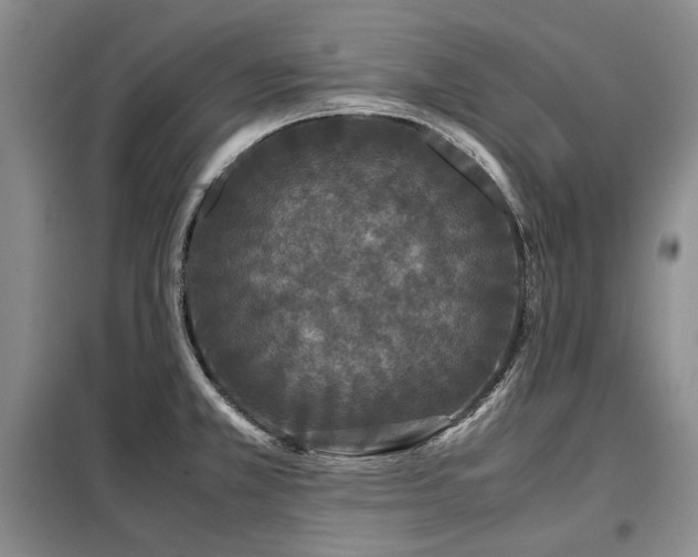 X0000099311381200805021304