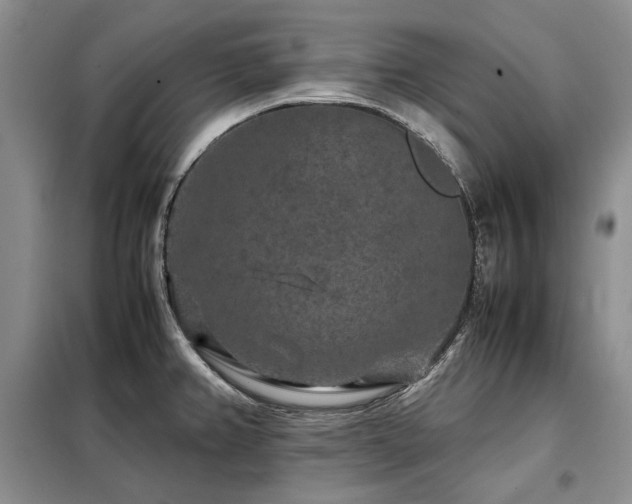 X0000099311382200805021304