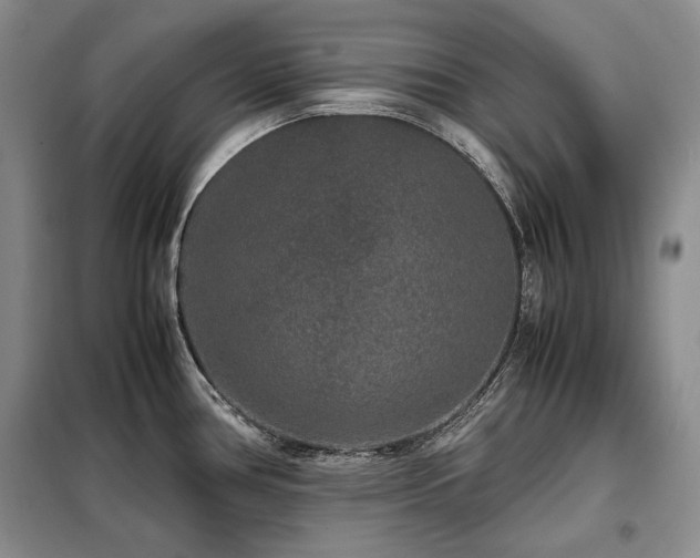 X0000099311386200805021304