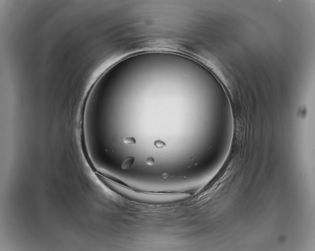 X0000099311387200805021304