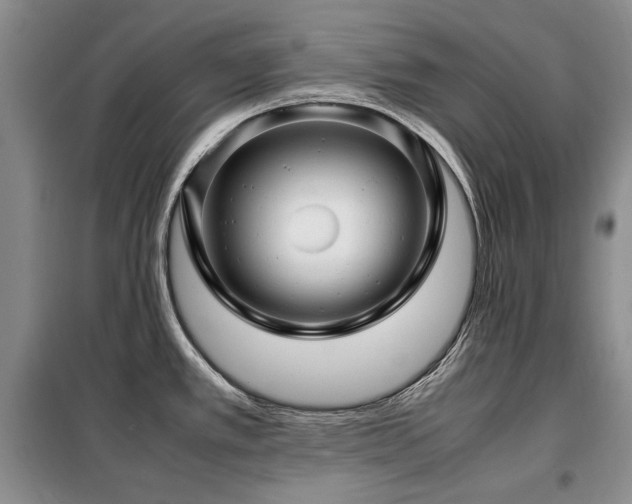 X0000099311389200805021304