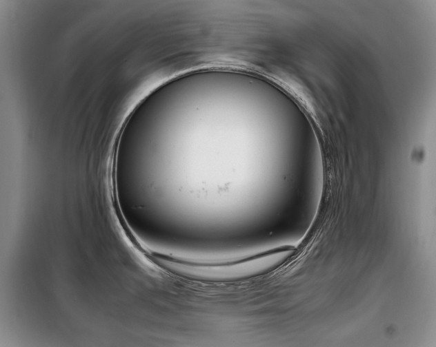 X0000099311391200805021304