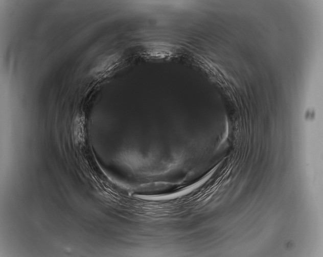 X0000099311394200805021303