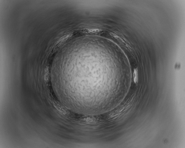X0000099311395200805021303