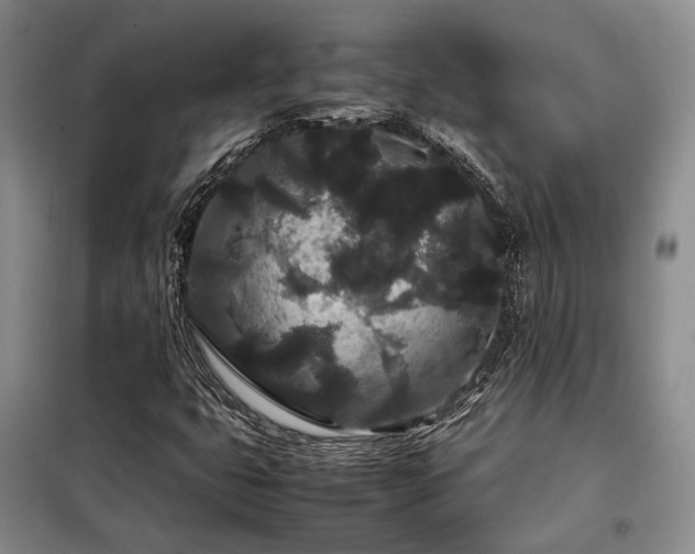 X0000099311399200805021303