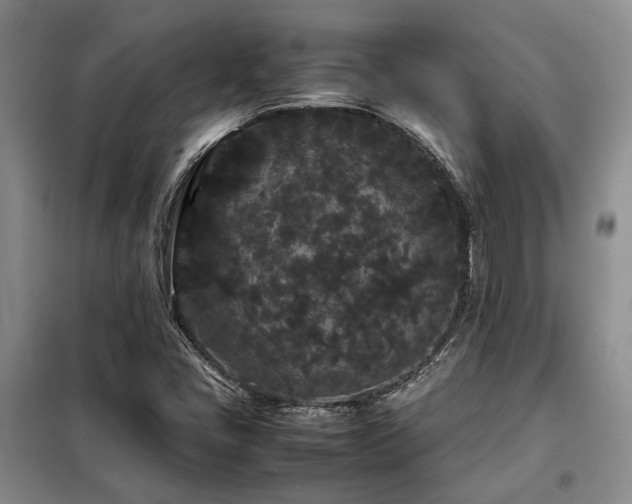 X0000099311405200805021303