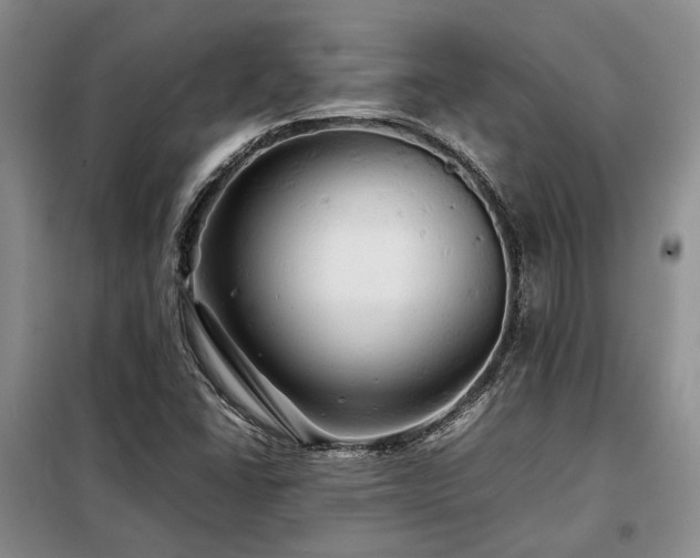 X0000099311406200805021303