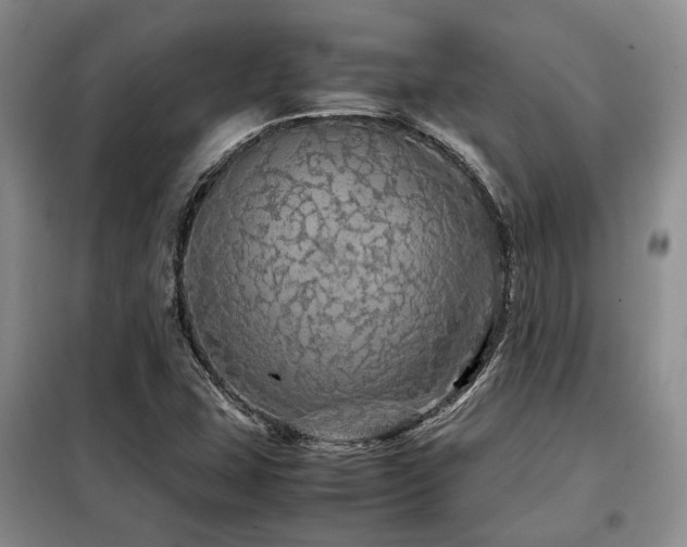 X0000099311407200805021303
