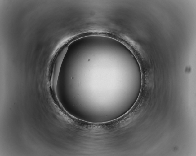X0000099311408200805021303