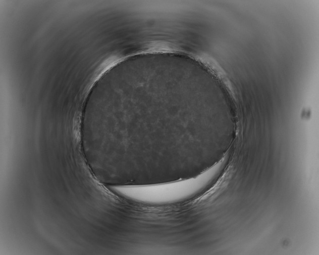 X0000099311409200805021303