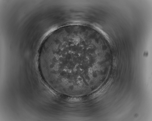 X0000099311411200805021303