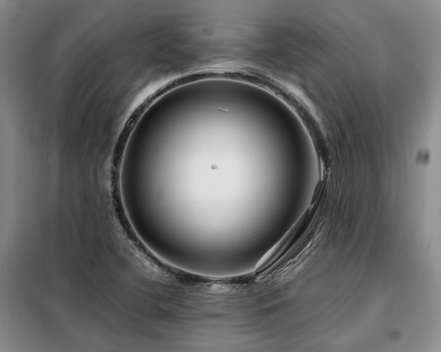 X0000099311412200805021303