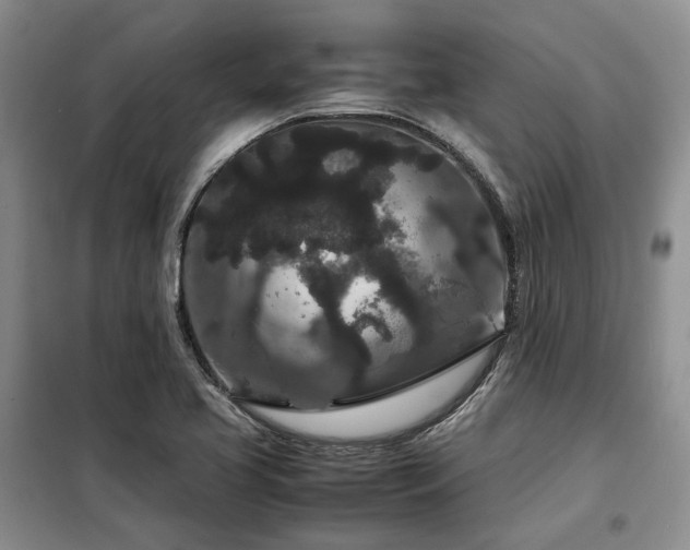 X0000099311413200805021303