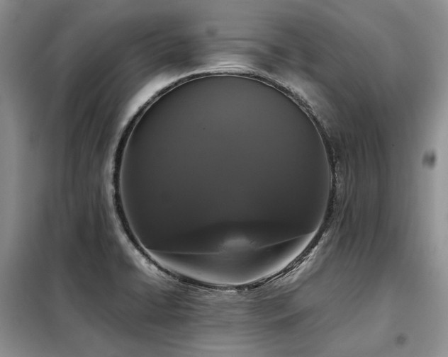 X0000099311422200805021303