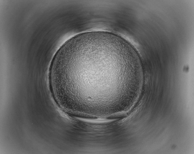 X0000099311423200805021303