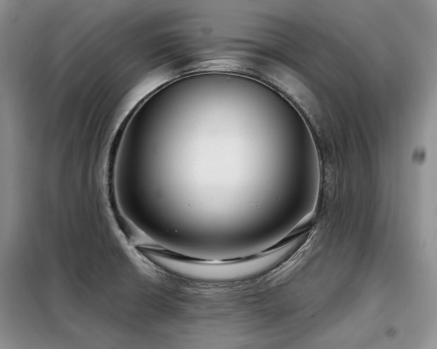 X0000099311426200805021303