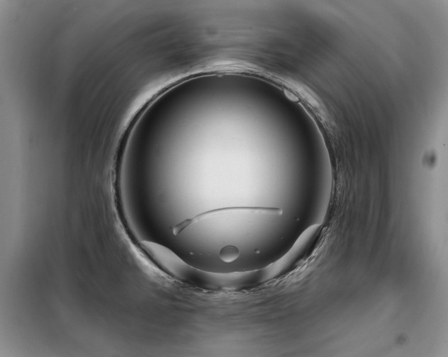 X0000099311430200805021304