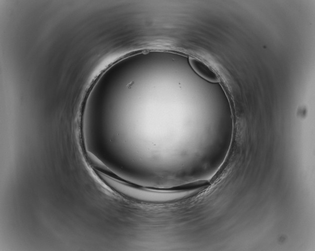 X0000099311432200805021304