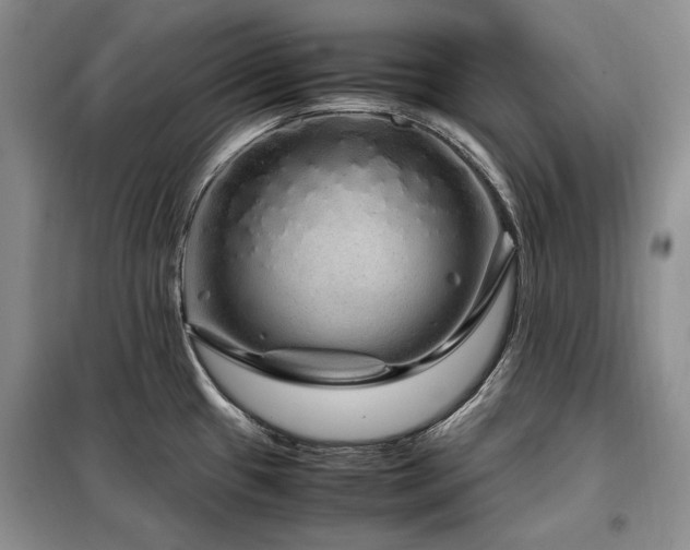 X0000099311433200805021304