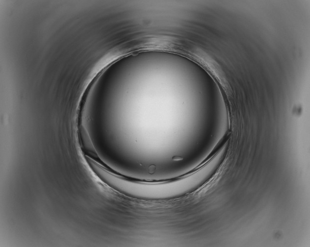 X0000099311434200805021304
