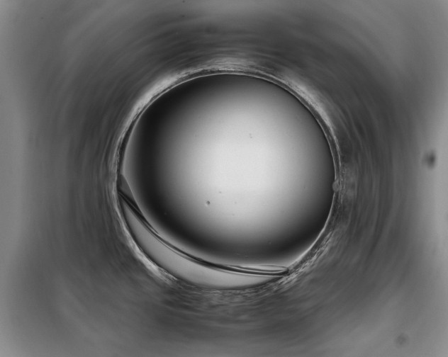 X0000099311437200805021304