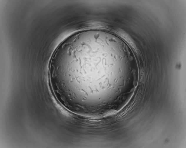 X0000099311439200805021304